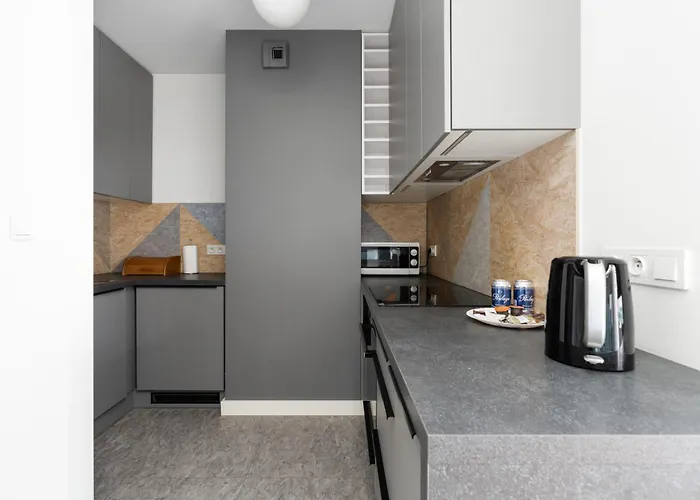 아파트 Niedzialkowskiego By Renters *